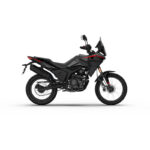 MORBIDELLI T250X